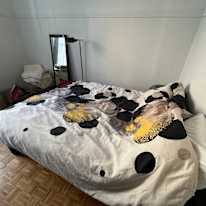 Hassan Shoaib's room