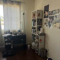 Abi's room
