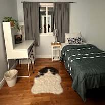 Lalaine's room