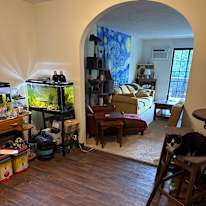 Anthony's room