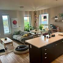 Anneliese's room