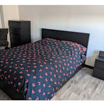 Stacy's room