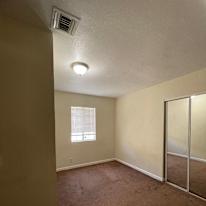 Sophia's room