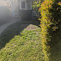Ella's room