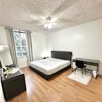 Mark's room