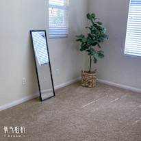 Feng's room