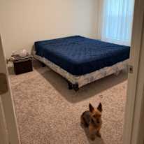 Amanda's room
