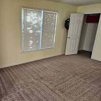 Alicia's room