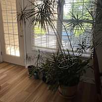 Barb's room