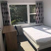 Kang's room