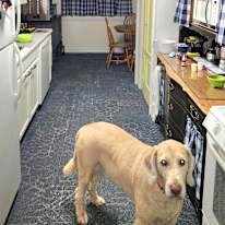 Marybeth Wright's room