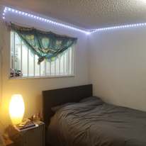 Alexandra's room