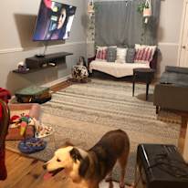 Jodie's room