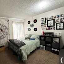 Lily's room