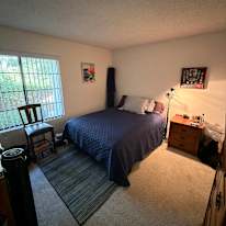 Evan Johnson's room