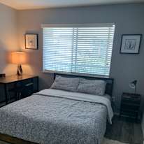 Ani's room