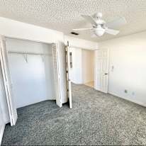Ally's room