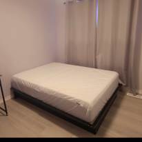 D's room