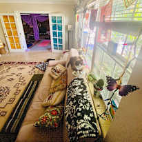 Mayara's room
