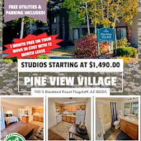 Pine View Village's room