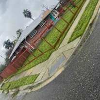 Trulans's room