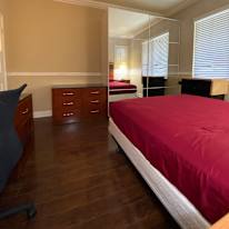 maggie's room