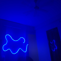 Vi's room