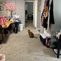 Jasmine's room