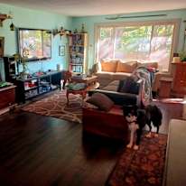 Chani's room
