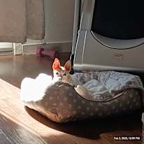 Ellie's room