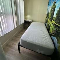 Zahra's room