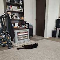 Geoff Prosser's room
