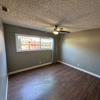Daniel's room