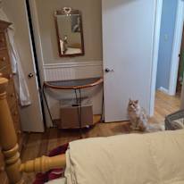 Mary-Sue Hart's room