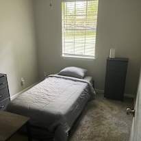 Alex's room