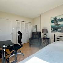 Patricia Coughlin's room
