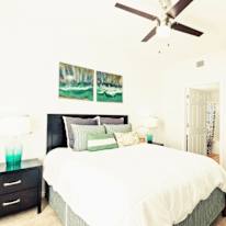 Ray's room