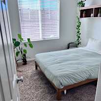 Amy's room