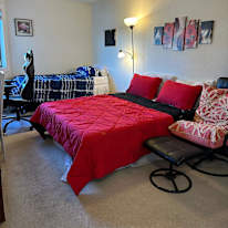 Arman Dadrass's room