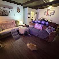 Liz's room