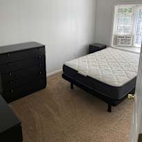 Ziggy's room