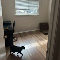 Jackson's room