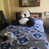 femina's room