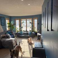LouisLoup's room