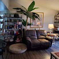 Paula's room