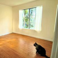 Elias's room