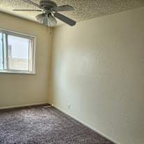 Kisha Gonsalves's room