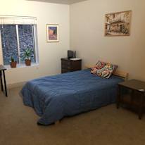 Seyed's room