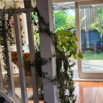 Kim's room