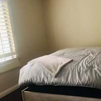 Gurbas's room